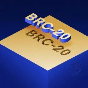 比特币新时代：BRC-20的机遇与风险 | Web3世界