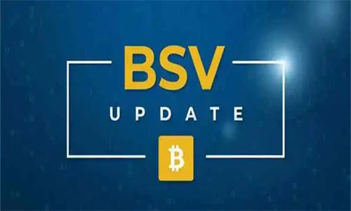 BSV与ZEC为何陷入发展停滞？区块链项目有何教训？