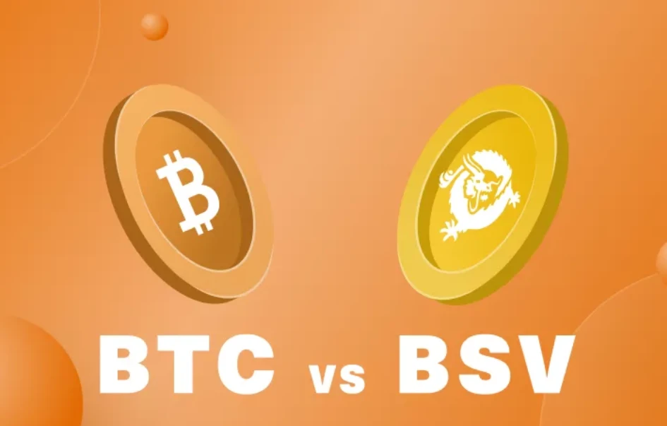 比特币(BTC)与比特币SV(BSV)有何区别？2025前景如何？
