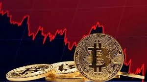 比特币主导地位：揭秘下一轮牛市的关键指标